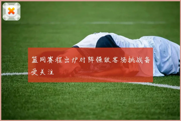 篮网赛程出炉对阵强敌客场挑战备受关注