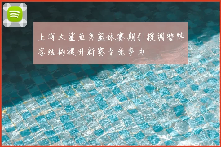 上海大鲨鱼男篮休赛期引援调整阵容结构提升新赛季竞争力