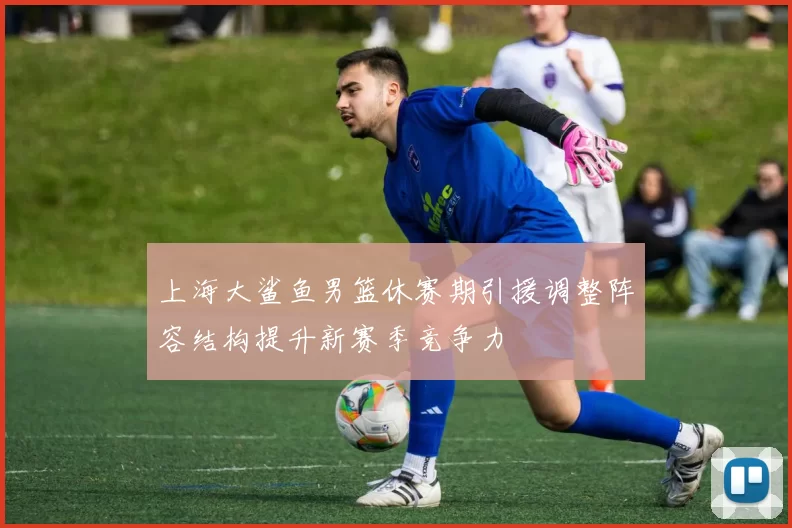上海大鲨鱼男篮休赛期引援调整阵容结构提升新赛季竞争力