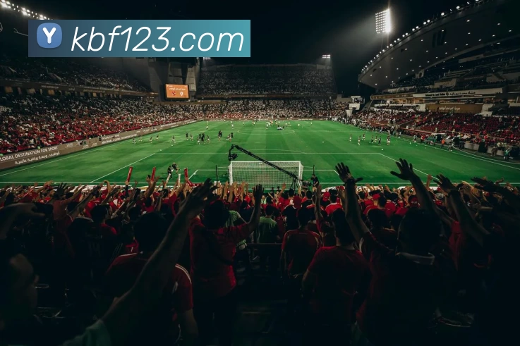 星空体育注册入口平台生态图